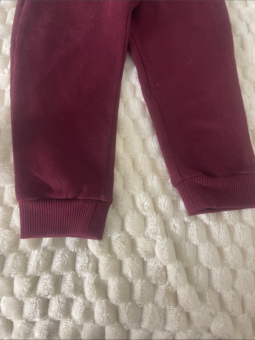The Children's Place Maroon Jogger Sweatpants with White Drawstring